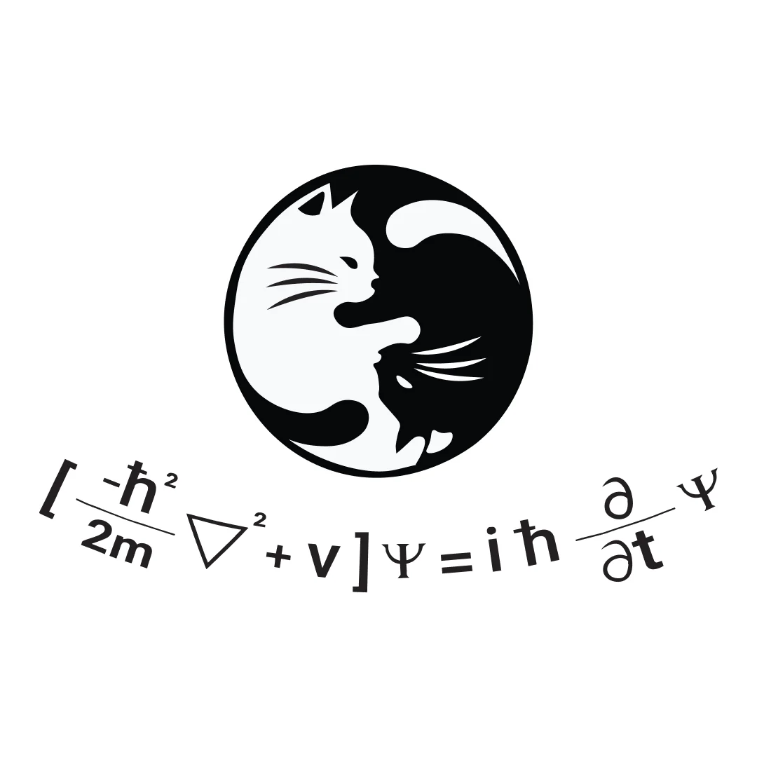 Schrodingers Equation YIN YANG Half Sleeve Unisex Geek T-Shirt - Image 2